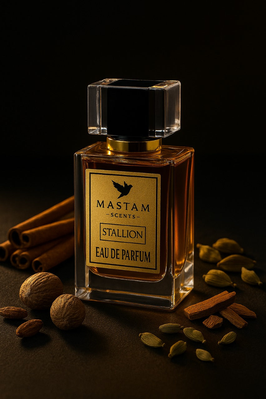 Stallion | Better Than