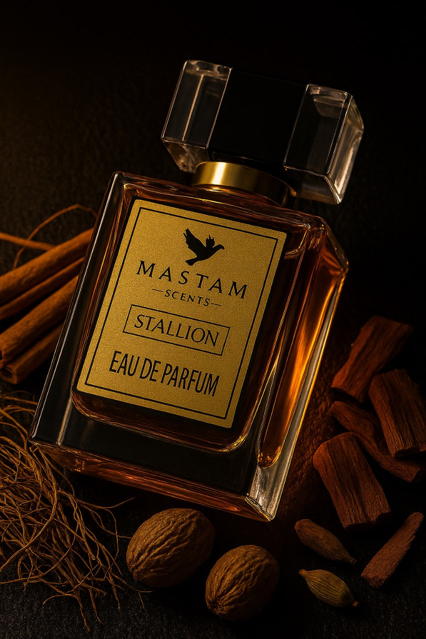 Stallion | Better Than